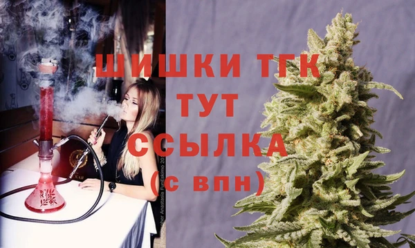 эйфоретик Баксан