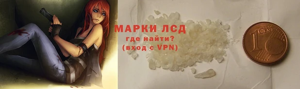 эйфоретик Баксан