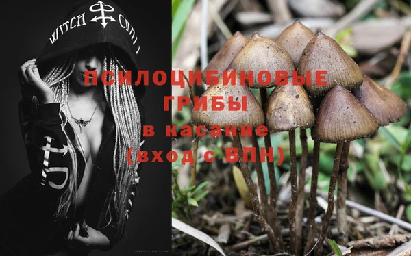гашик Балабаново