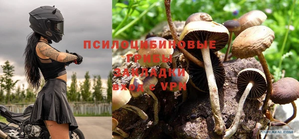 эйфоретик Баксан