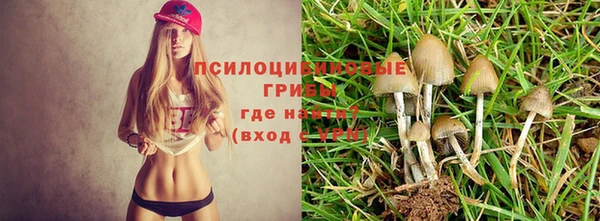 гашик Балабаново