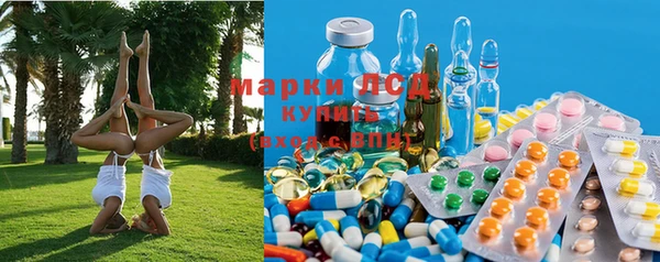 эйфоретик Баксан