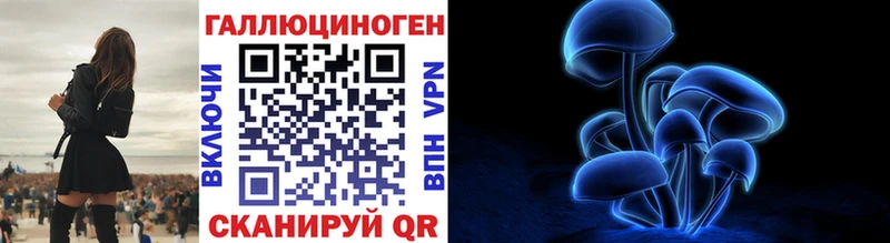 Галлюциногенные грибы Psilocybine cubensis  Боровичи 